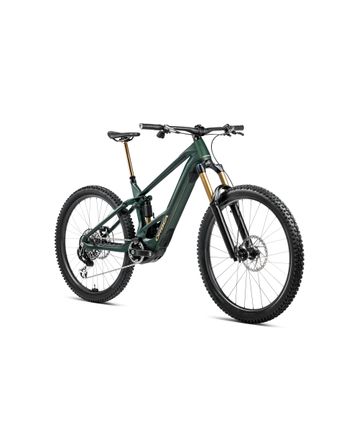 Orbea Wild M10 2025 Forest Green