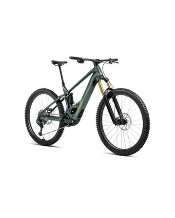 Orbea Wild M20 2026 Seaweed Carbon View Matt